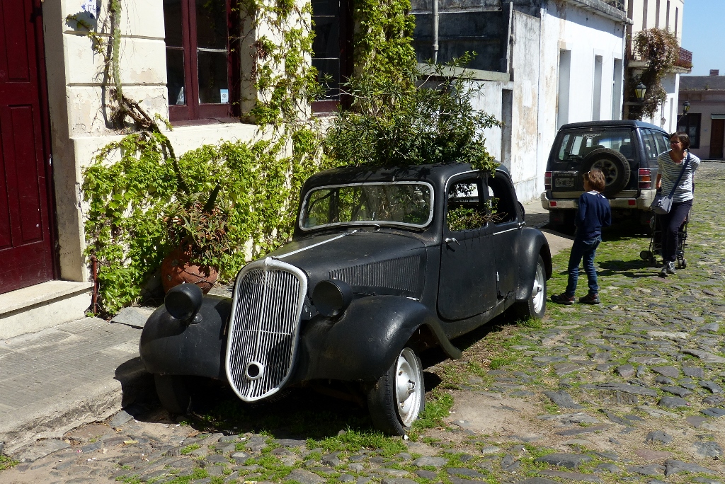 p1020164-1024x684