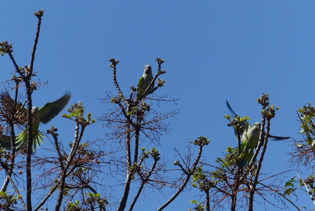 p1020195-1024x684