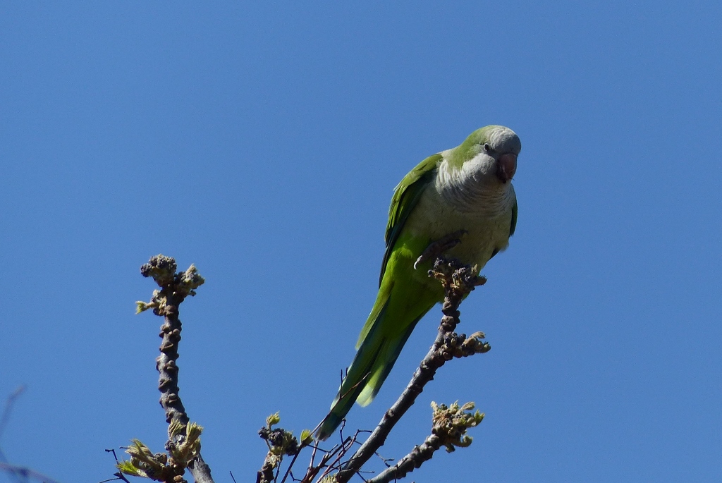 p1020201-1024x685