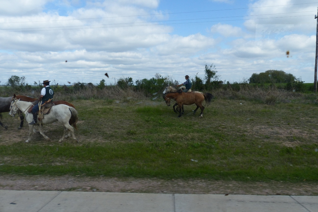 p1020282-1024x684
