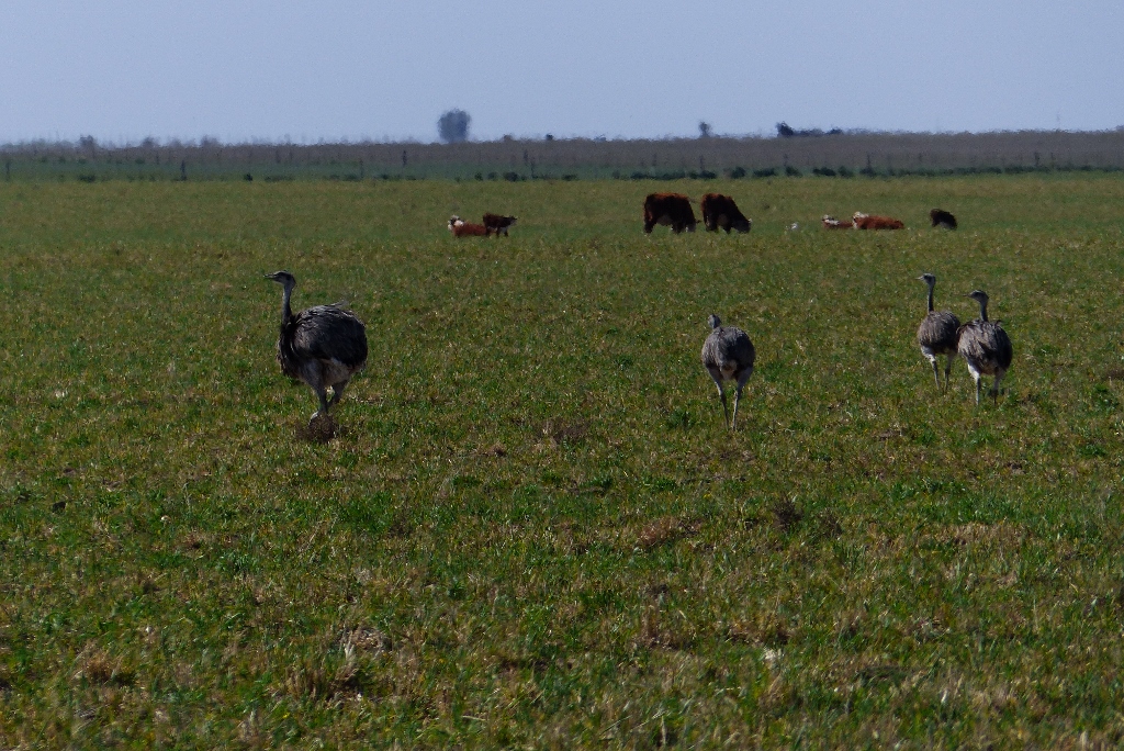 p1020536-1024x684