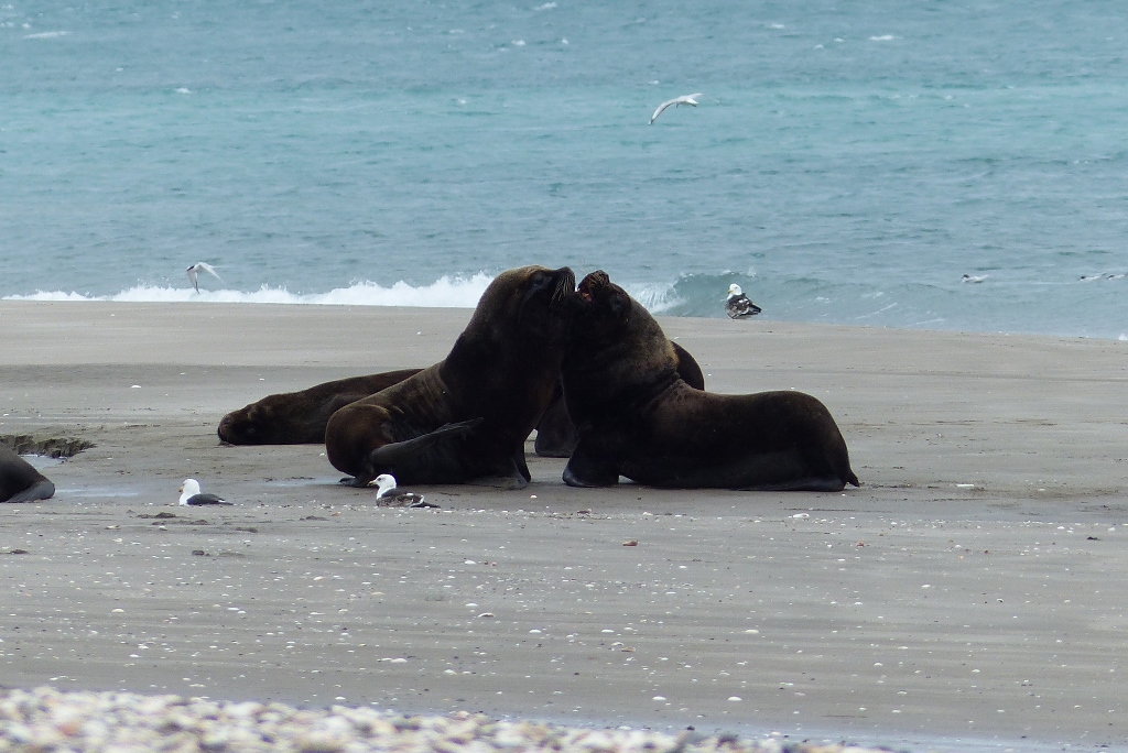 p1020635-1024x684